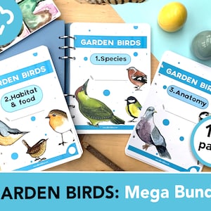Mega Bundle Garden Birds Apprentissage de la nature - Trois mini études en une - Espèces d'oiseaux, cycles de vie, faits et anatomie