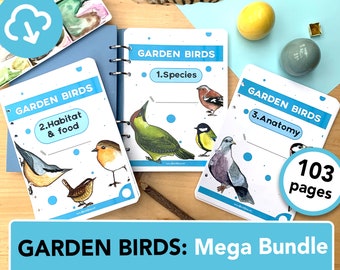 Mega Bundle Garden Birds Nature learning - Three mini studies in one - Bird species, Life cycles, facts and anatomy