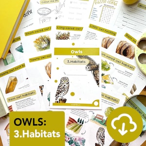 Pack d'étude sur les habitats et les nids des hiboux - version éducative à imprimer - enseignement à domicile - cartes-éclair sur la faune