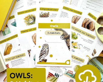 Pacote de estudo sobre habitats e ninhos de corujas - material educacional para impressão - educação domiciliar - cartões de memória sobre vida selvagem
