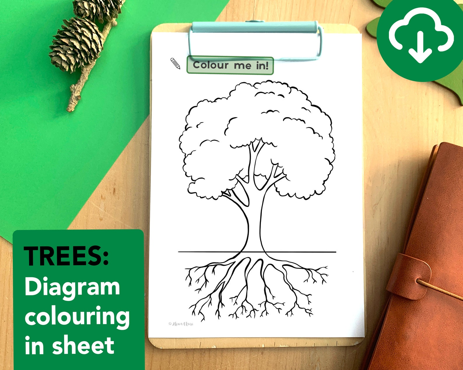 Trees Diagram Colouring in Sheet Educational Tree Printable Etsy