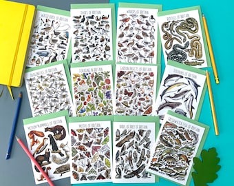 British Wildlife Greeting Card Pack of Twelve - VOLUME 3