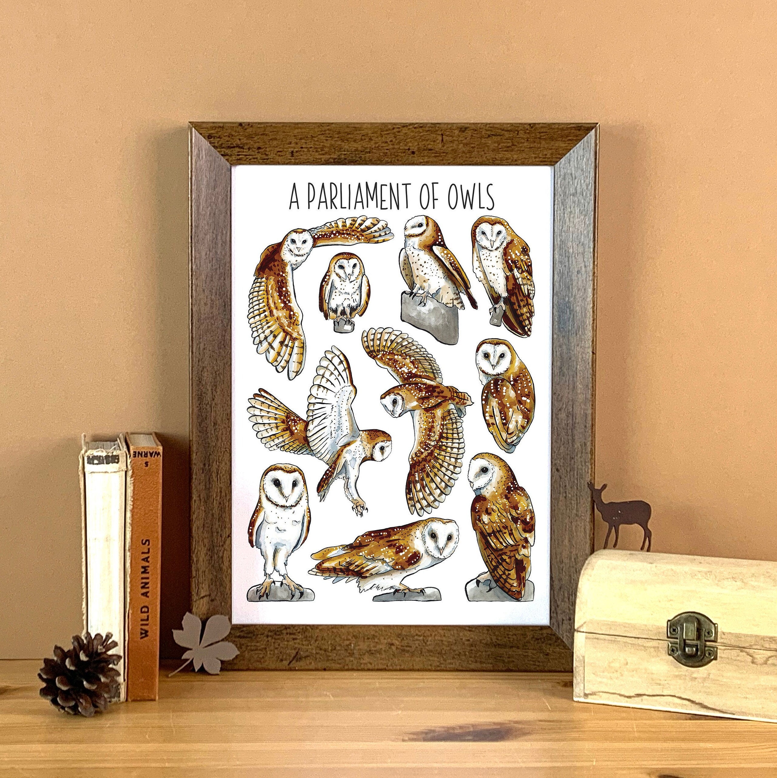 Barn Owls Watercolour Print - Collective nouns parliament of owls