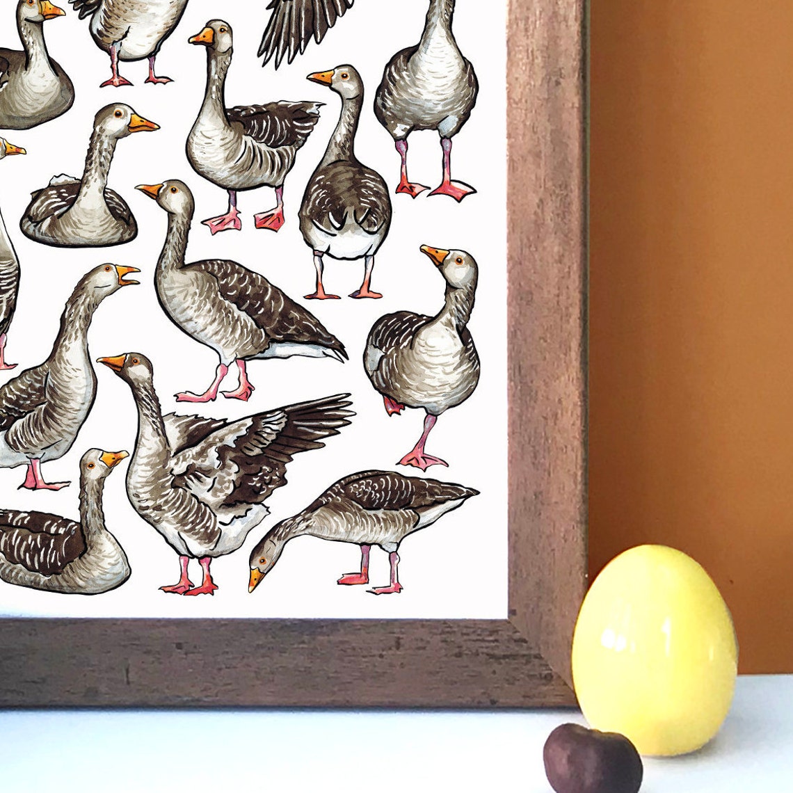 Gaggle of Geese Watercolour Print Collective Nouns Wildlife Etsy