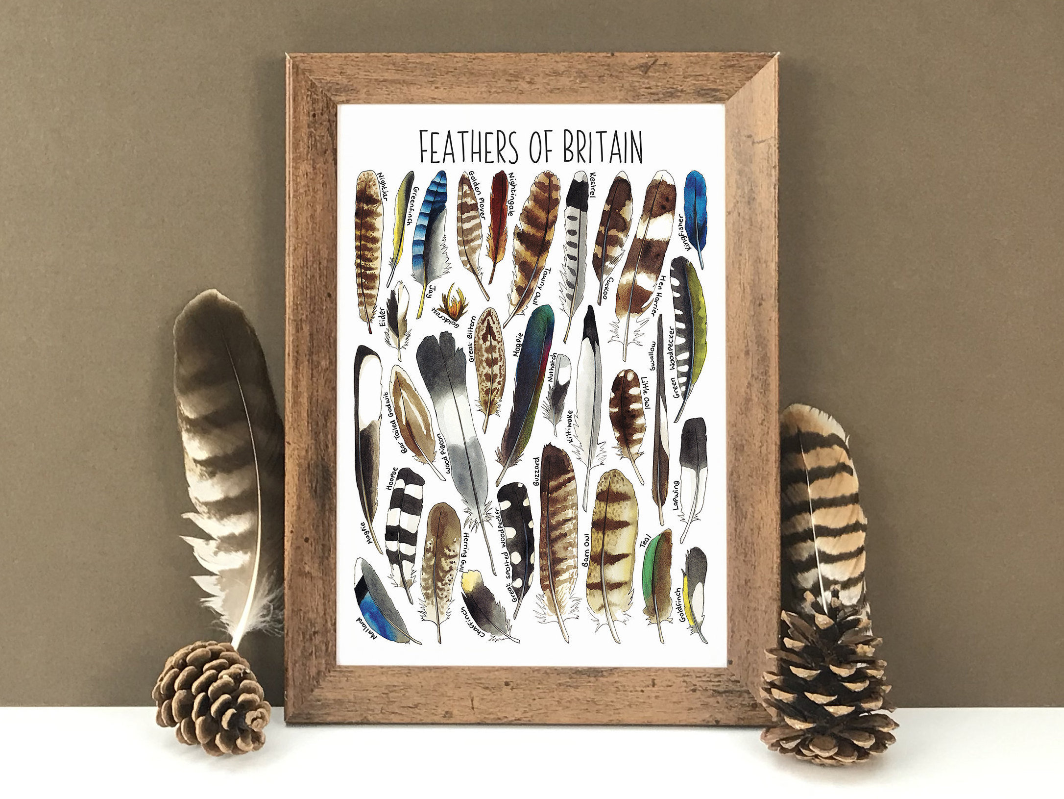 その他 Birds of a Feather - The Collection Birds of a Feather - Marcus Ashley Gallery