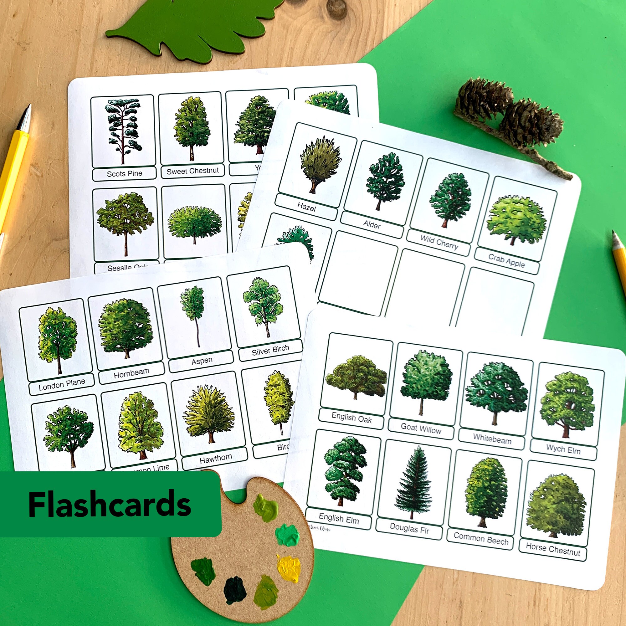 Tree Species Nature Study Pack - Educational Trees Printable - Home ...