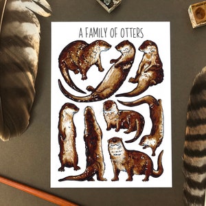 Wildlife Postcard Pack Collective Nouns Twelve Animal flashcards image 9