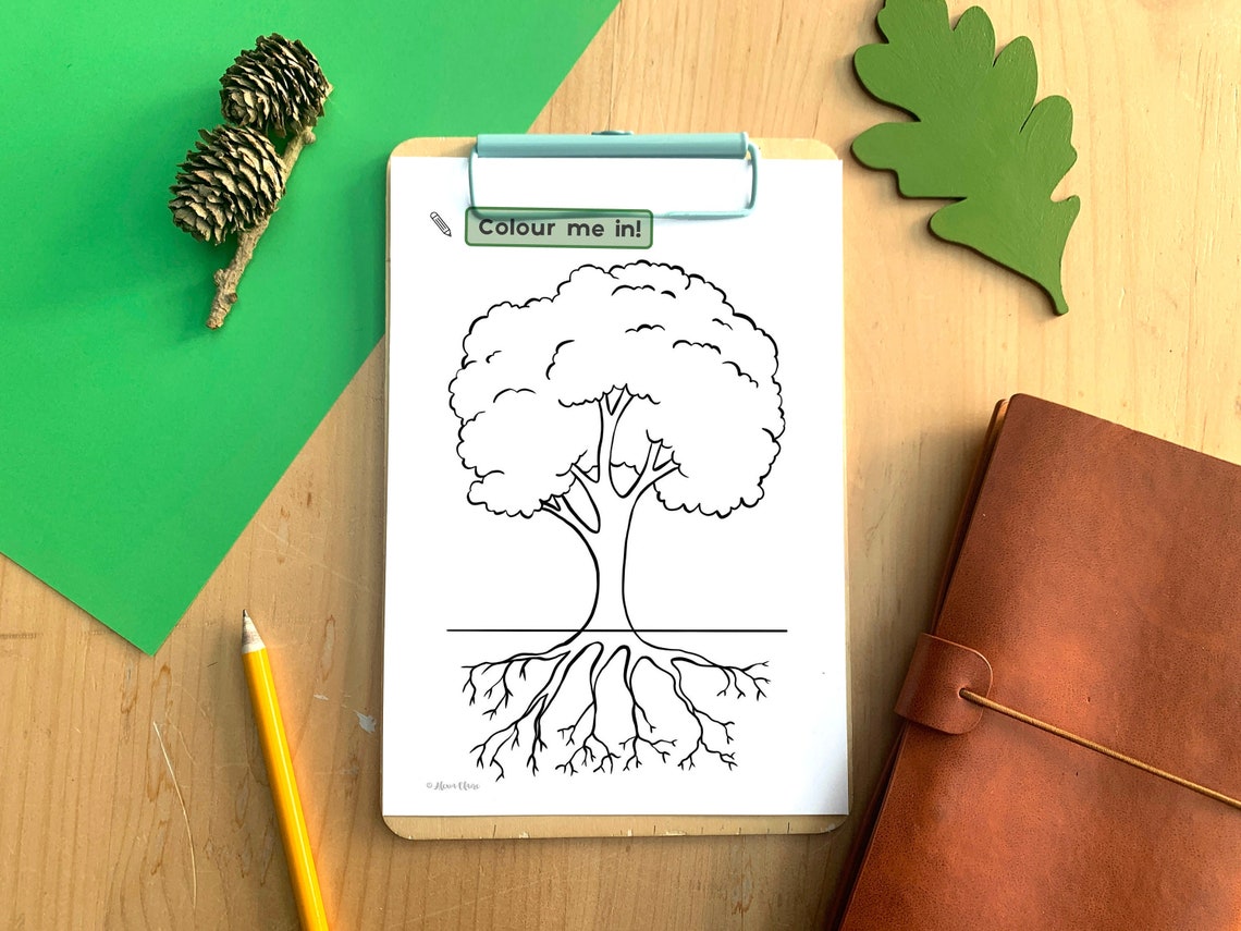 Trees Diagram Colouring in Sheet Educational Tree Printable - Etsy