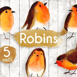 Clipart de Robin - aquarela de Robins - clip art - Robin redbreast - clipart de planejador de natal - clipart de pássaros de jardim - GA96