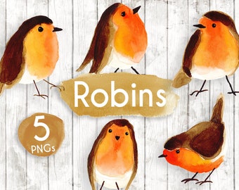 Robin clipart - Robins watercolour - clip art - Robin redbreast - christmas planner clipart - Garden Birds clipart - GA96