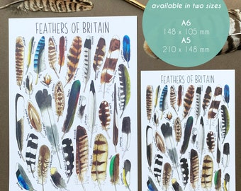 その他 Birds of a Feather - The Collection Birds of a Feather Ornament Collection