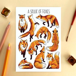 Wildlife Postcard Pack Collective Nouns Twelve Animal flashcards image 7