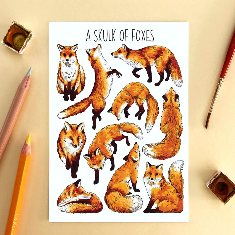 Wildlife Postcard Pack Collective Nouns Twelve Animal flashcards image 7