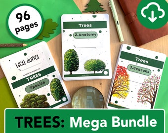 Mega Bundle Trees Nature learning - Three mini studies in one - Tree species, Seasons, anatomy and Autumn