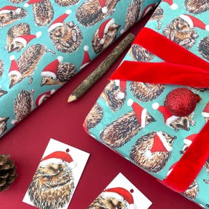 Hedgehog Christmas wrapping paper - cute hedgehog santa hats