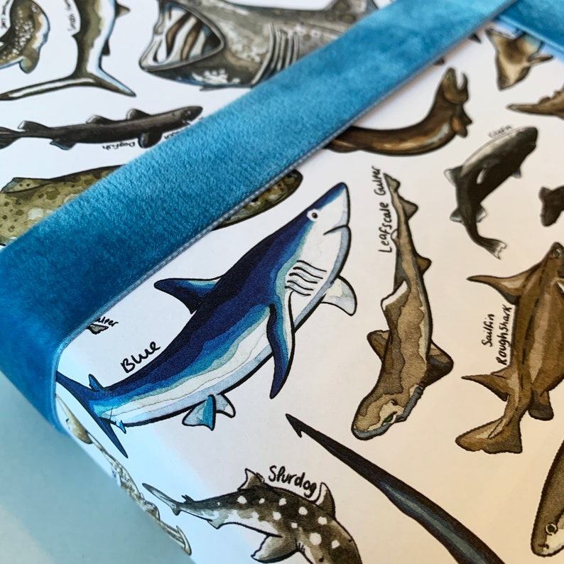 Sharks Wrapping Paper Watercolour Wildlife Birthday Gift Etsy UK
