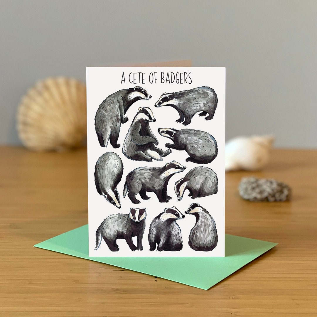 Badger Greeting Card Collective Nouns Card for Cete of Etsy