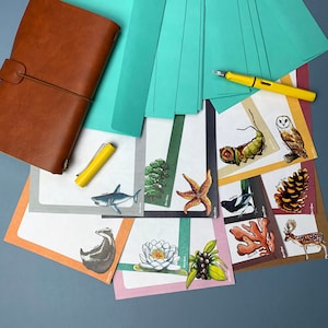 British Wildlife Letter Writing Set - Volume 2