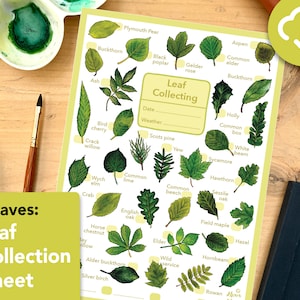 Leaves spotting worksheet - educational wildlife printable