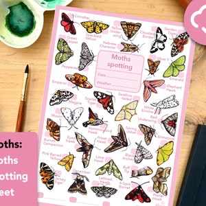 Puede incluir: Una tabla de identificación de polillas rosa y blanca con ilustraciones coloridas de diferentes polillas. La tabla incluye los nombres de cada polilla, como Cinabrio, Amarillo Moteado y Carácter Hebreo. La tabla también incluye una sección para registrar la fecha y las condiciones climáticas.