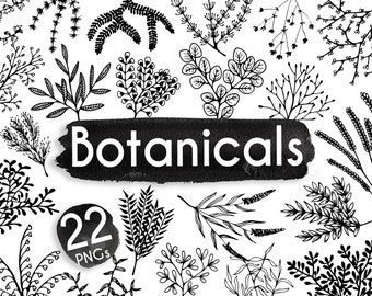 Botanical leaves Clipart - 22 leave branches - Leaves clipart - planner clipart - bullet journal botanicals  - ACGABW174