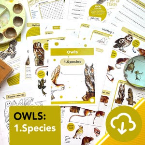Kit d'étude sur la nature des espèces de hiboux - hiboux éducatifs à imprimer - éducation à domicile - cartes flash sur la faune