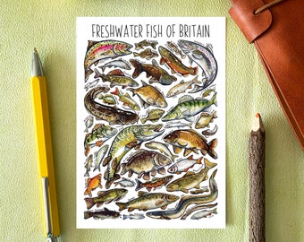 Freshwater Fish of Britain Watercolour Postcard