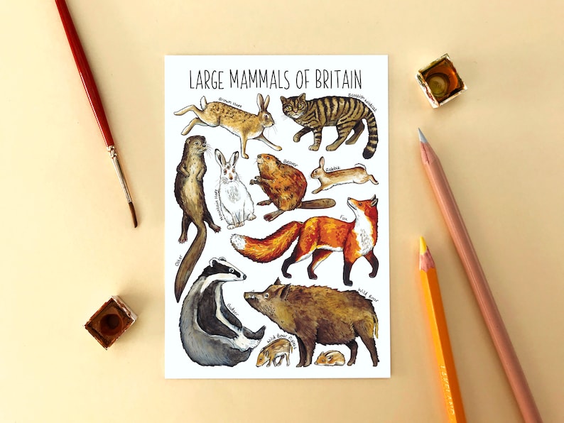 Large Mammals of Britain Watercolour Postcard image 1