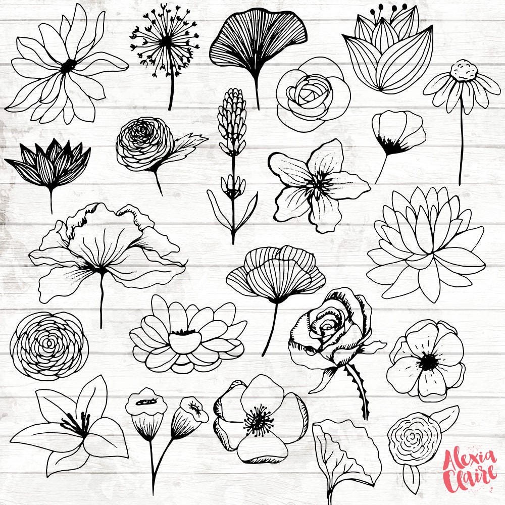 Flores imágenes prediseñadas 23 imágenes prediseñadas - Etsy España Flores imágenes prediseñadas 23 imágenes prediseñadas - Etsy España