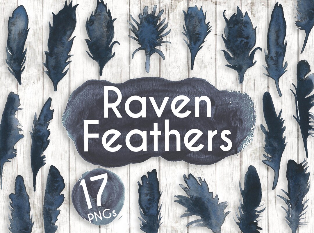 Black Feathers Clipart - Watercolour Feathers - Planner Digital Clip ...