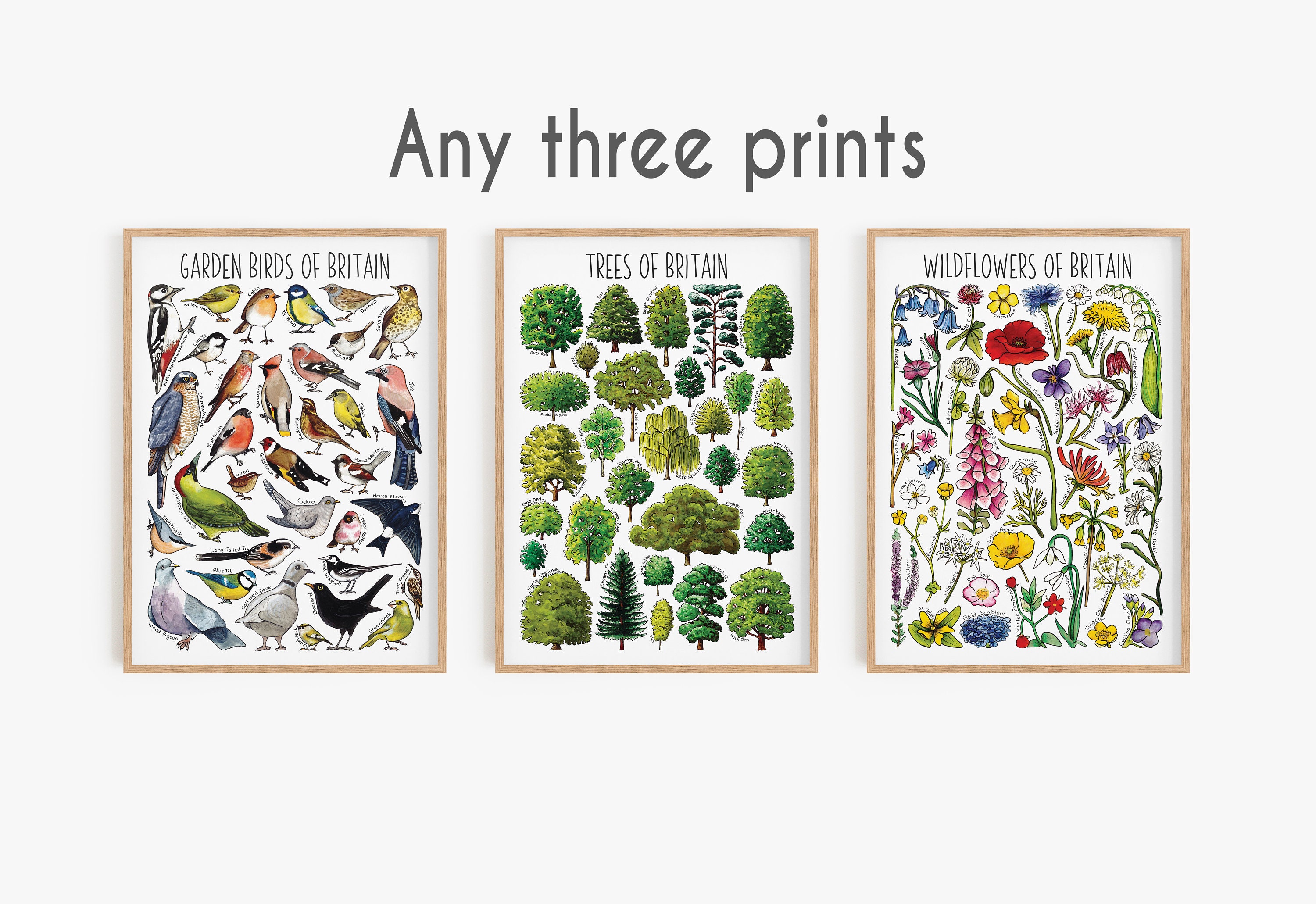 British Wildlife trio of Prints - Choose any three prints