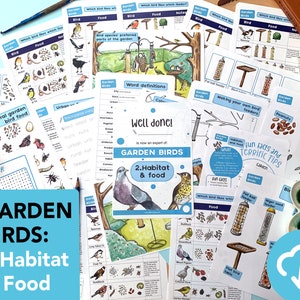 Paquete de estudio sobre la naturaleza, hábitats y alimentos de las aves - pájaros del jardín imprimibles - educación en el hogar