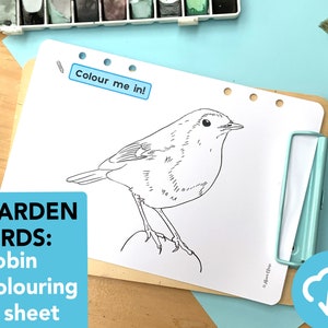 Feuille à colorier Oiseaux du jardin - Espèces d'oiseaux éducatives à imprimer