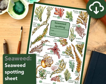 Seaweed spotting worksheet - educational wildlife printable