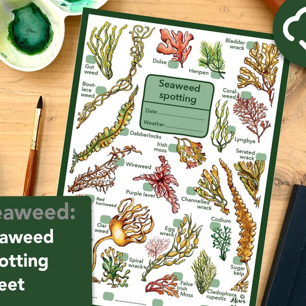 Seaweed spotting worksheet - educational wildlife printable