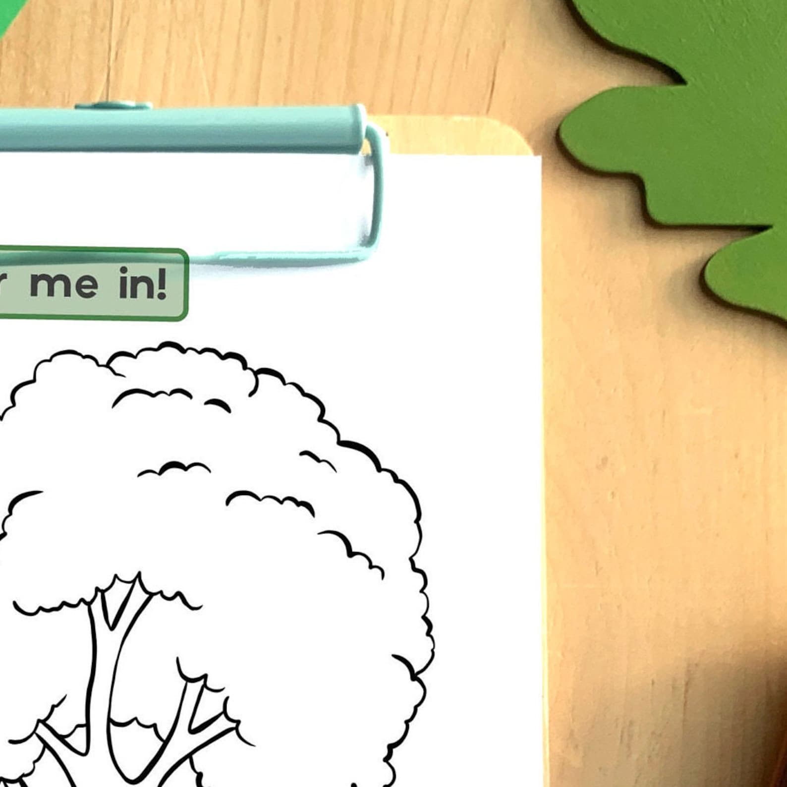 Trees Diagram Colouring in Sheet Educational Tree Printable - Etsy
