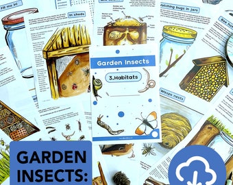 Garden insects Habitats Nature Study Pack - educational mini beasts printable - Bugs home education -  Creepy crawlies