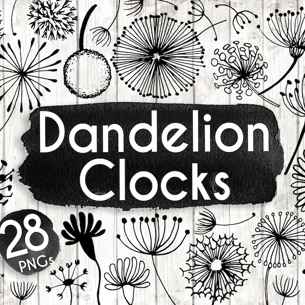 Dandelion Clipart - 28 Hand Drawn Dandelion Clock Cliparts - Seeds Clipart - Dandelion Logo Elements - Dandelion Illustration - 90