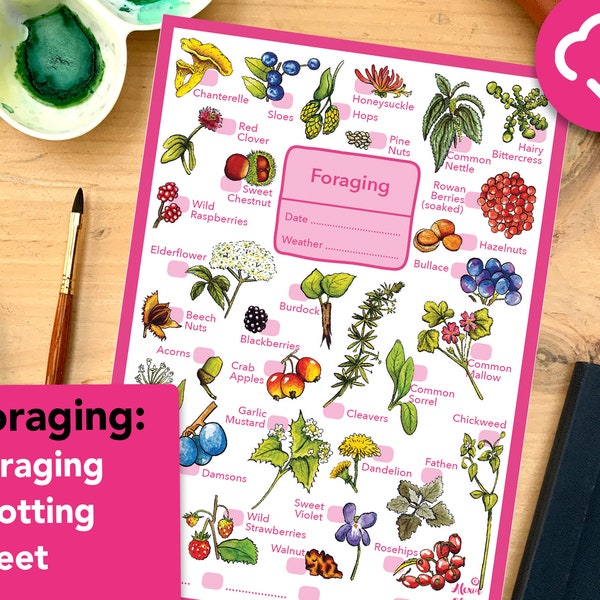 Foraging spotting worksheet - educational wildlife printable