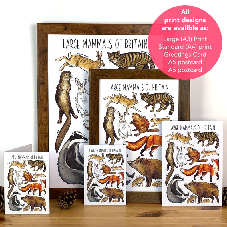 Large Mammals of Britain Watercolour Postcard image 3