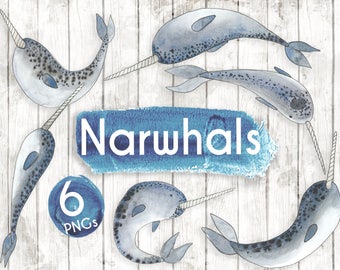 Narwhals Clipart - Watercolour Ocean clipart - Planner clipart - invitation clipart - Under the Sea Clipart - logo elements - Fish - GA56