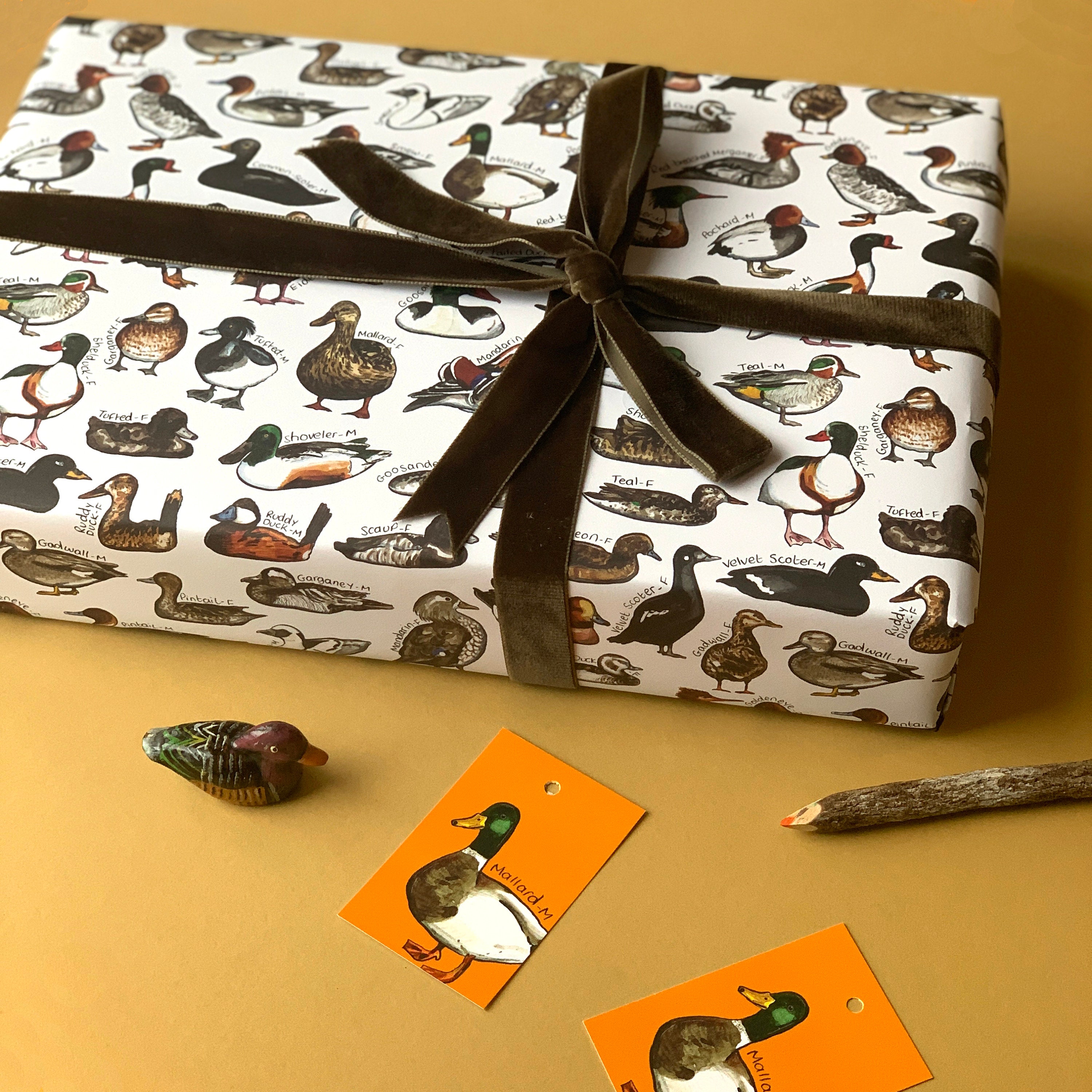 Brown Wrapping Paper with Feathers and Gold Ribbon • Ugly Duckling