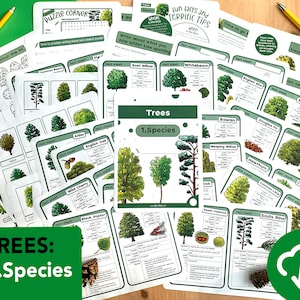 Boomsoorten Natuurstudiepakket - educatief Bomen printbaar - thuisonderwijs - Boomflitskaarten