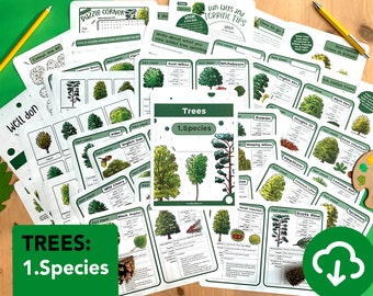 Tree species Nature Study Pack - educational Trees printable - home education -  Tree flash cards