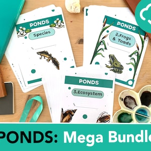 Mega Bundle Ponds Nature learning - Three mini studies in one - Pond species, food chains, ecosystems and anatomy