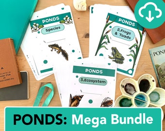 Mega Bundle Ponds Nature learning - Three mini studies in one - Pond species, food chains, ecosystems and anatomy