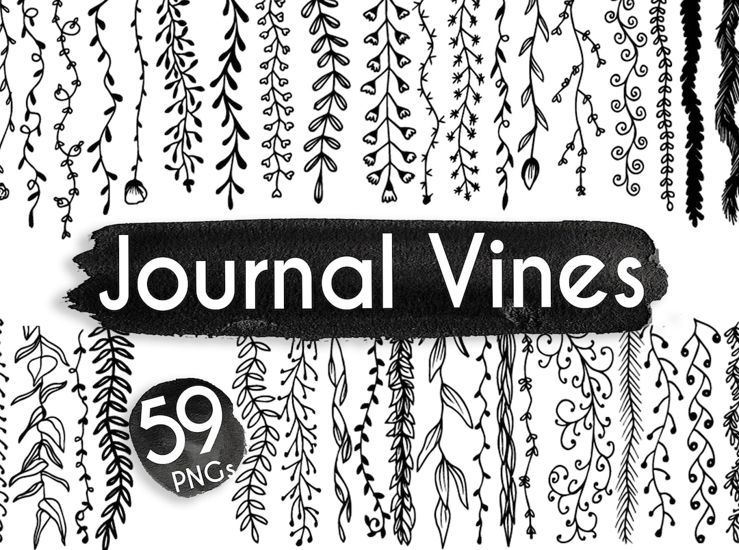 Journal Border Clipart 59 Hand Drawn Leaf Border Clipart Vines Border