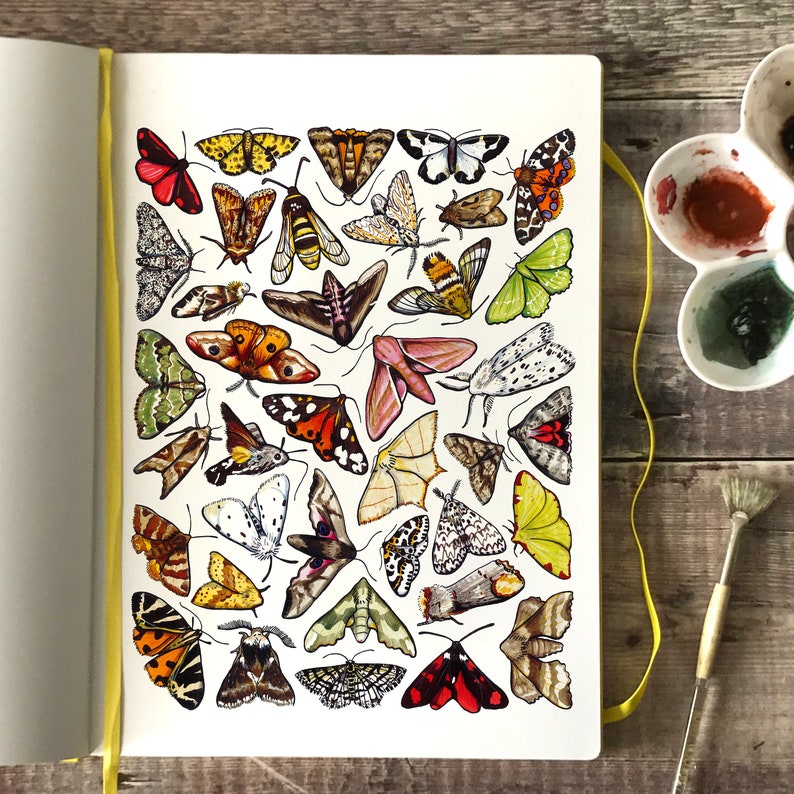 Moths Wrapping Paper watercolour wildlife birthday gift wrap image 4