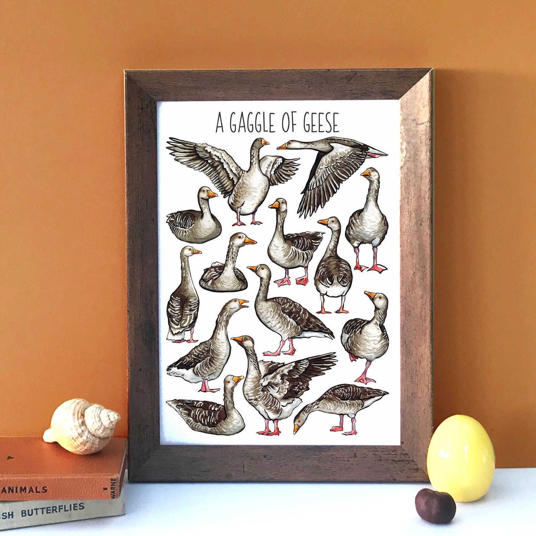 Gaggle of Geese Greeting Card Collective Nouns Card for Etsy UK