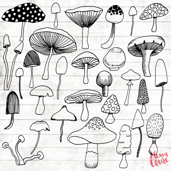 Mushroom Clipart 29 Hand Drawn Fungai Cliparts Plant Logo - Etsy Denmark